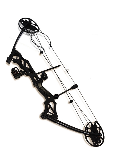 Фото: Блочный лук HawkCompound 30-70 фунтов (14-32 кгc)-1 Блочный лук HawkCompound 30-70 фунтов (14-32 кгc)-1